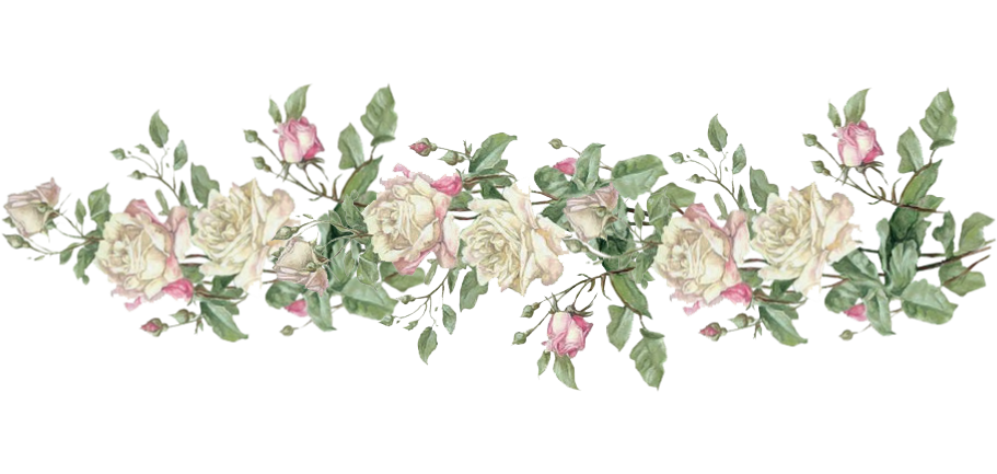rose divider